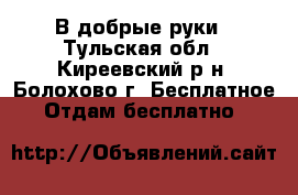 В добрые руки - Тульская обл., Киреевский р-н, Болохово г. Бесплатное » Отдам бесплатно   
